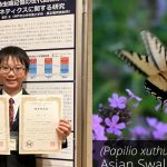 Un niño de 10 años se preguntó si las mariposas recordaban su época como orugas y descubrió que heredan memorias de sus antepasados: “Mi sueño es convertirme en el primer veterinario de insectos del mundo”