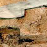 Descubren que los neandertales usaban la madera para fabricar lanzas, recipientes y hasta una posible maza